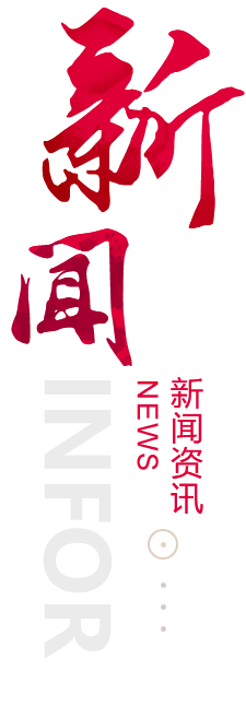 肇庆建站-新闻资讯
